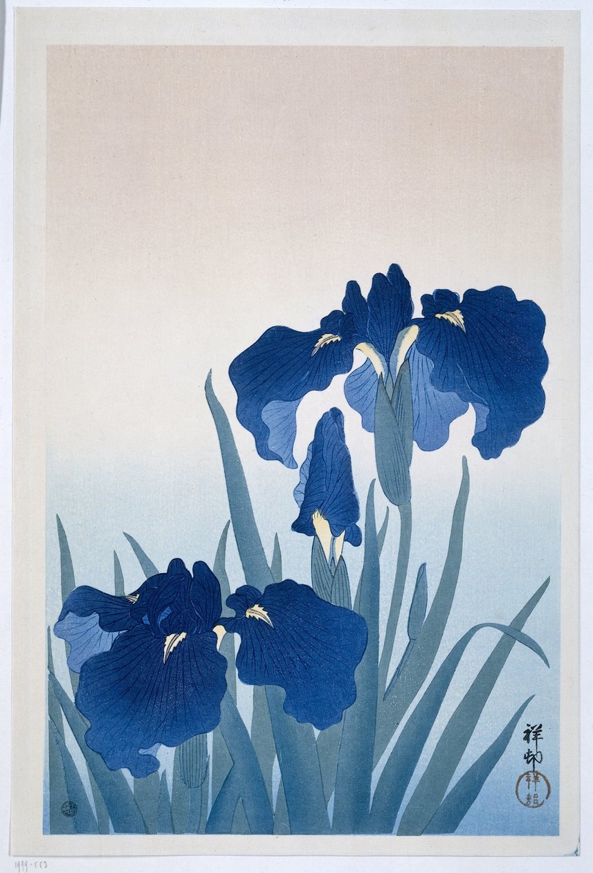 Irysy autorstwa Ohara Koson
