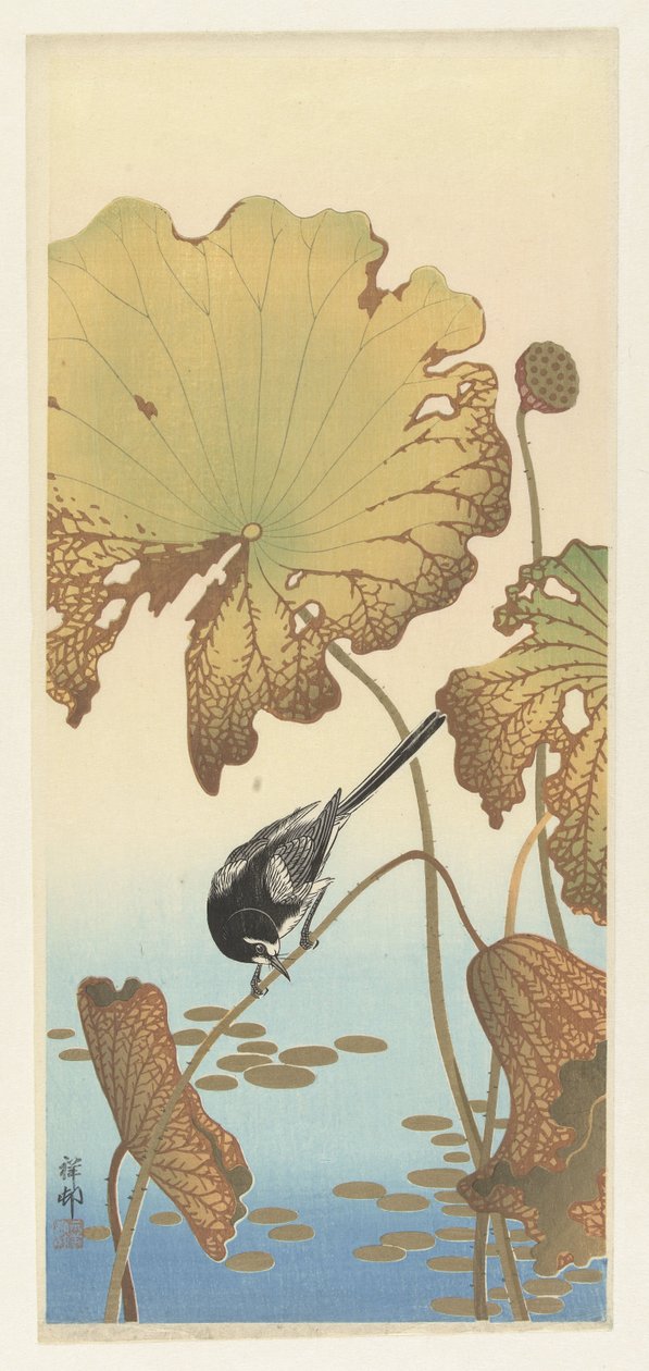 Pliszka japońska na roślinie lotosu autorstwa Ohara Koson
