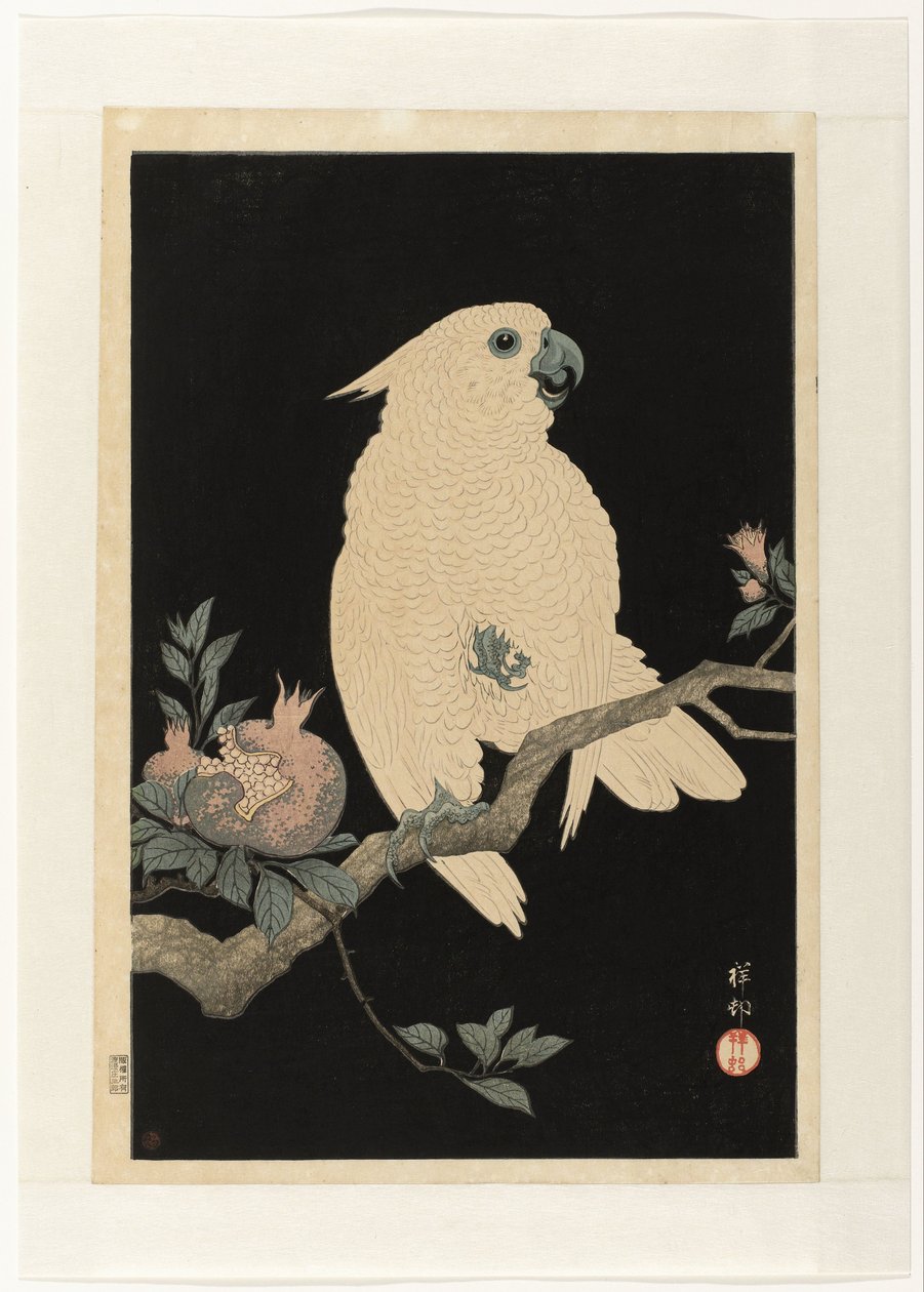 Kakadu z granatem autorstwa Ohara Koson