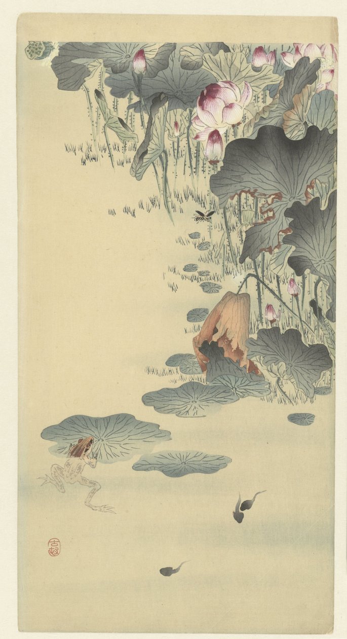 Żaba i kijanki autorstwa Ohara Koson