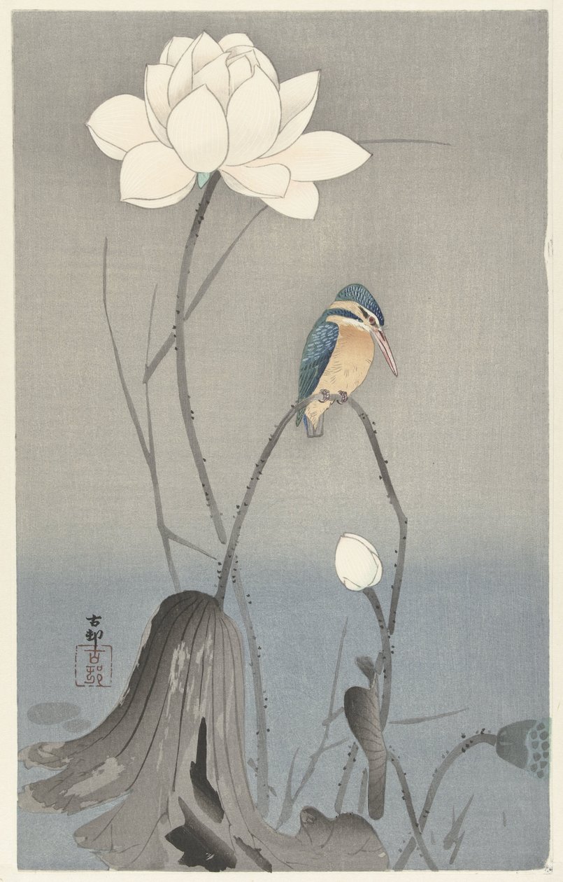 Zimorodek z kwiatem lotosu autorstwa Ohara Koson