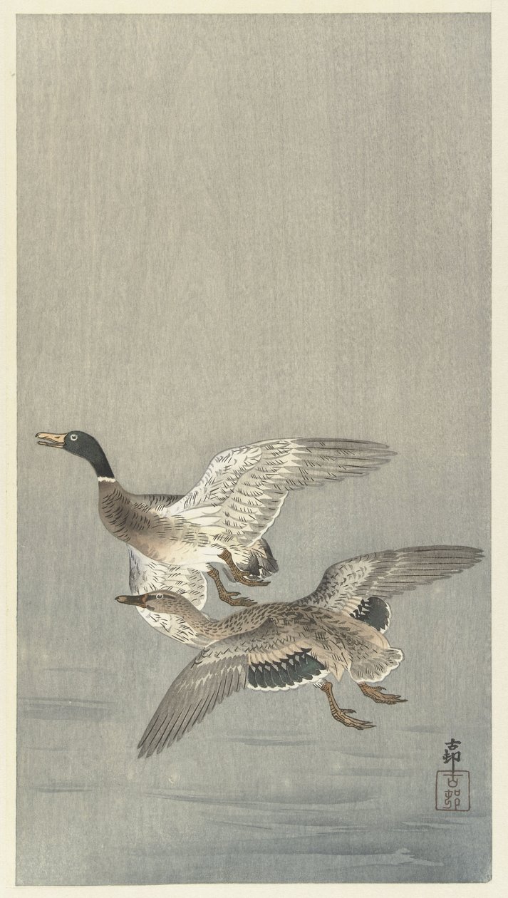 Para kaczek autorstwa Ohara Koson