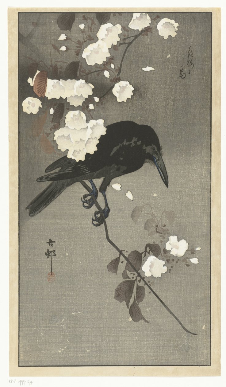 Wrona z kwiatem wiśni Hana sakura no tori (tytuł na obiekcie) autorstwa Ohara Koson