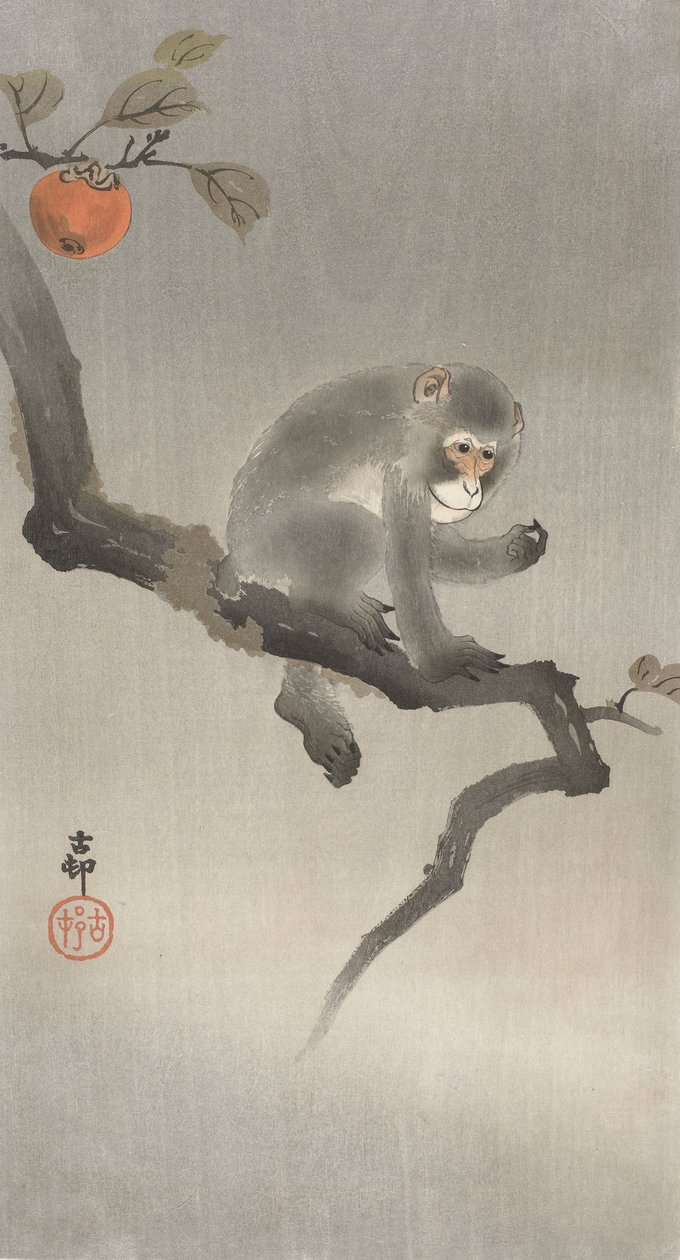 Małpa na drzewie owocowym, 1900-30 (kolorowy drzeworyt) autorstwa Ohara Koson