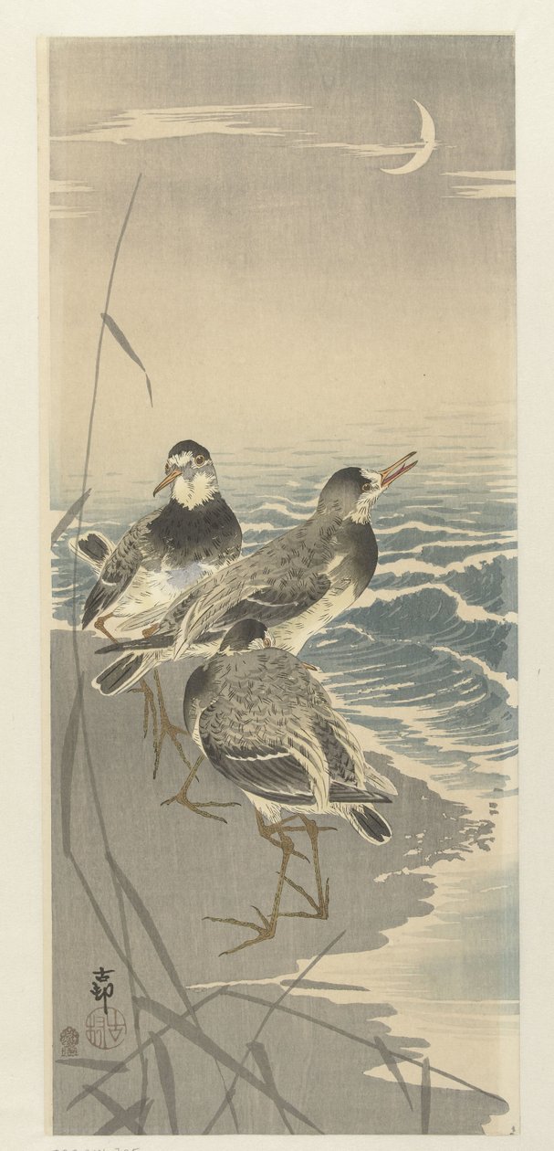 Sandpipers w sierp księżyca autorstwa Ohara Koson