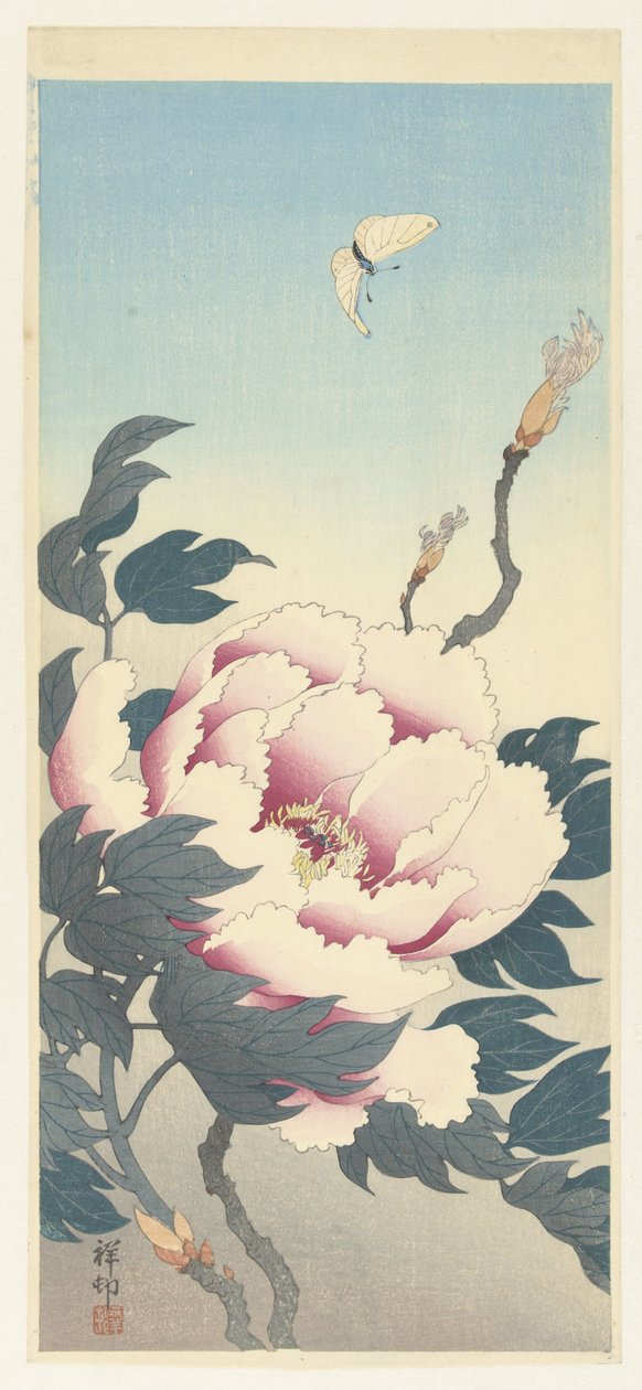Piwonia z motylem autorstwa Ohara Koson