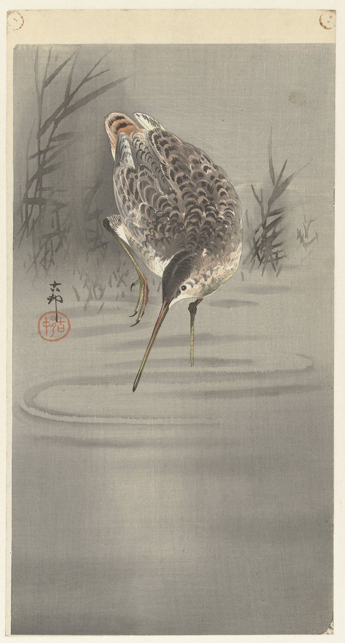 Ciepnij w wodzie autorstwa Ohara Koson