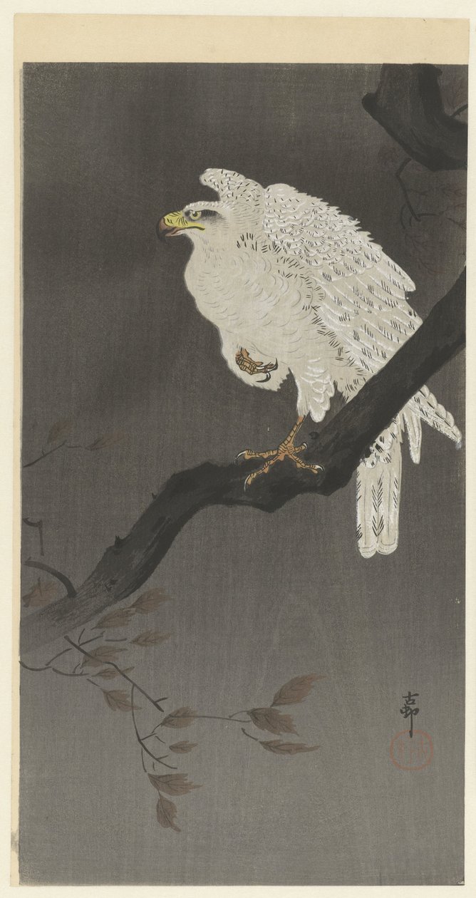 Orzeł śnieżny na gałęzi autorstwa Ohara Koson