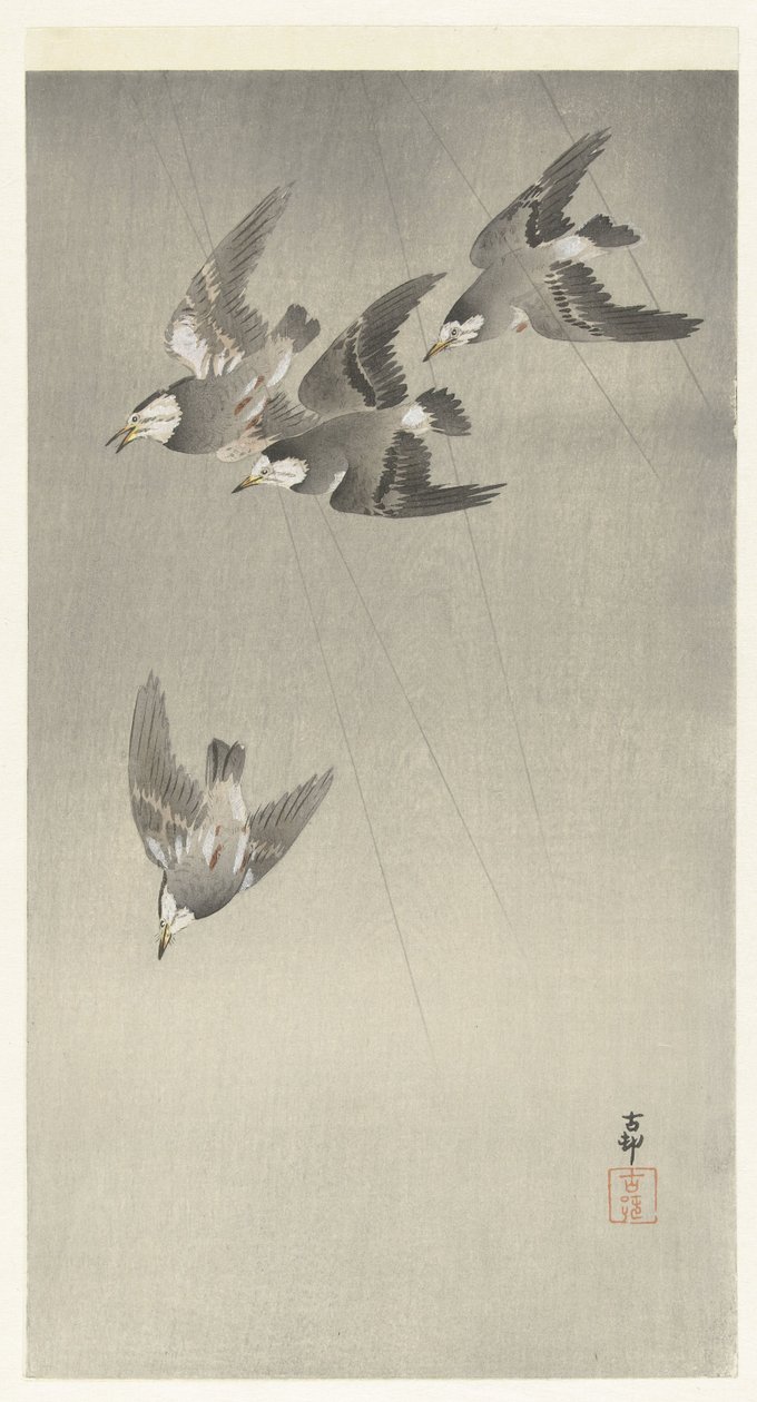 Szpak w deszczu autorstwa Ohara Koson
