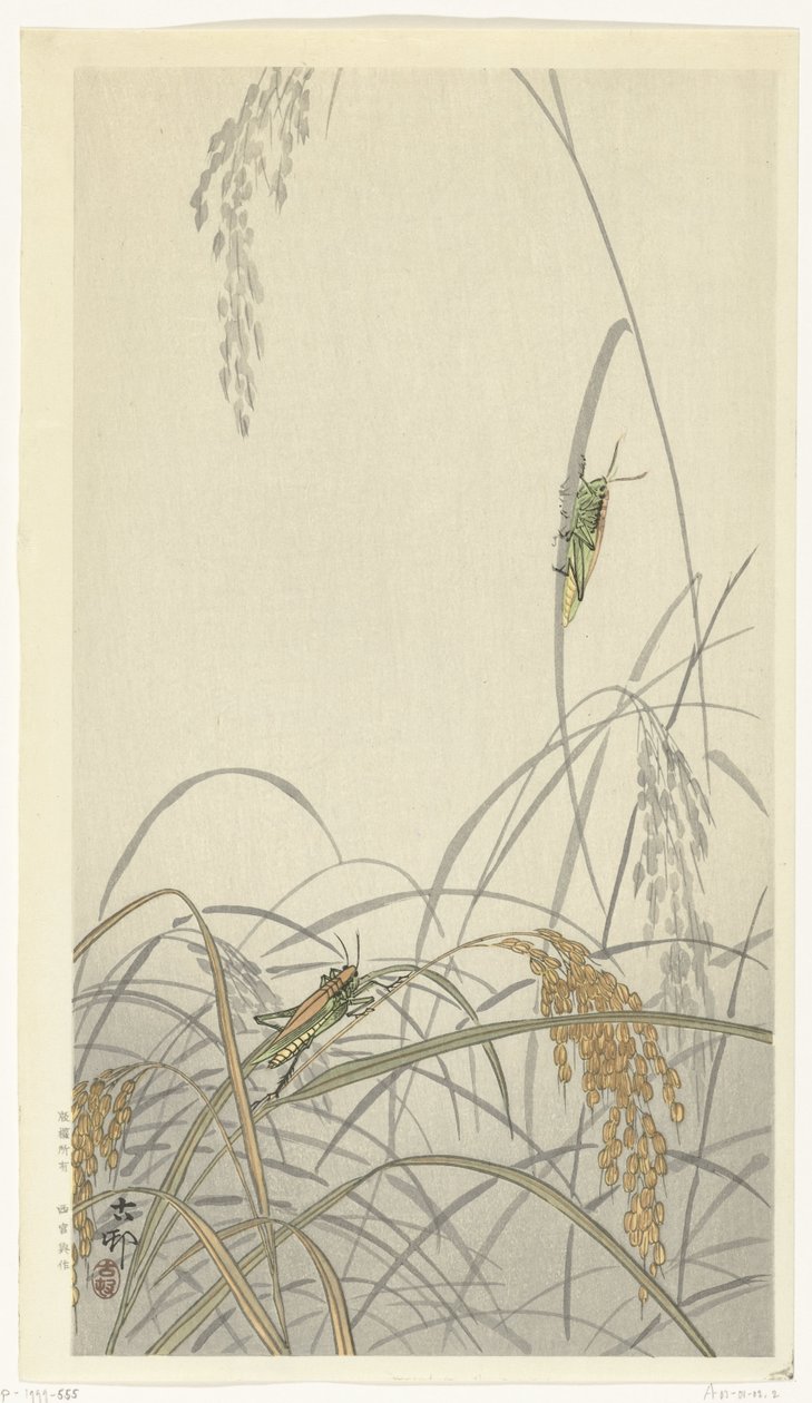 Koniki polne na roślinach ryżowych autorstwa Ohara Koson