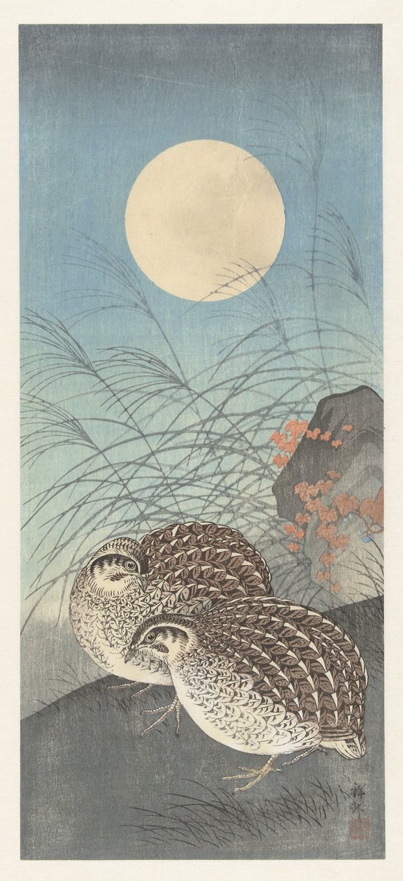 Dwie przepiórki w pełni księżyca. autorstwa Ohara Koson