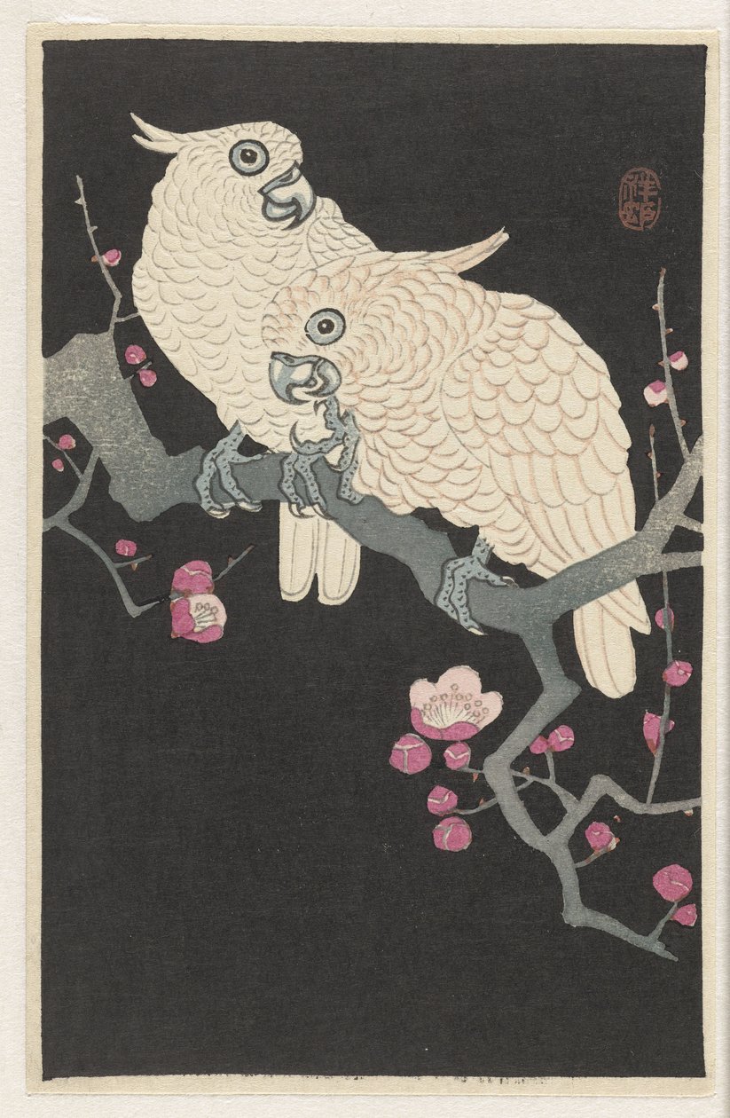 Dwie kakadu i kwiat śliwy autorstwa Ohara Koson