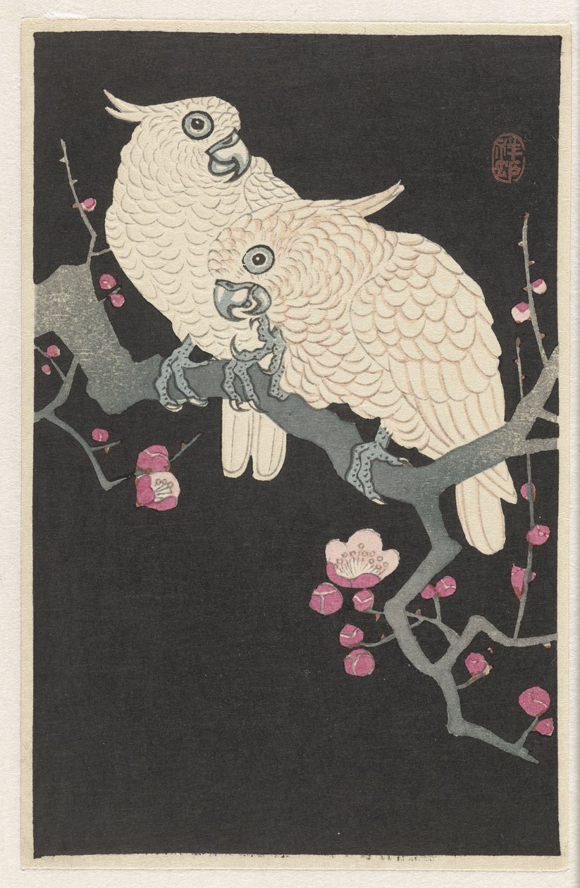 Dwie kakadu i kwiat śliwy autorstwa Ohara Koson