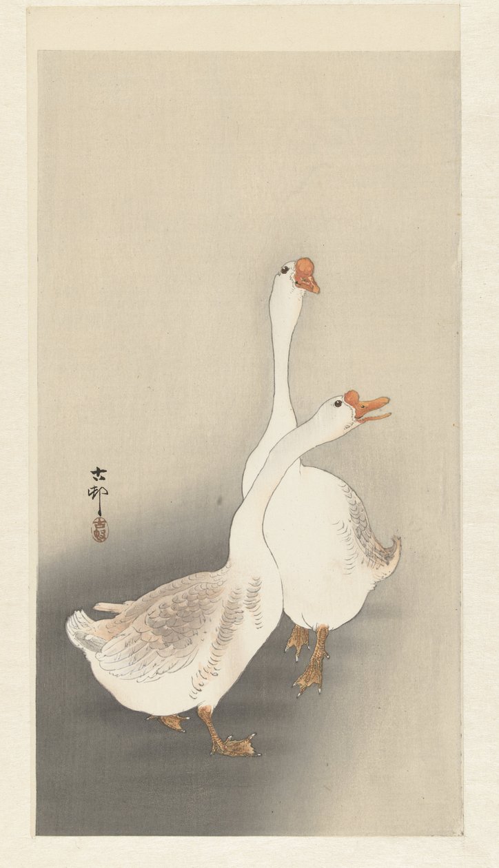 Dwie gęsi autorstwa Ohara Koson