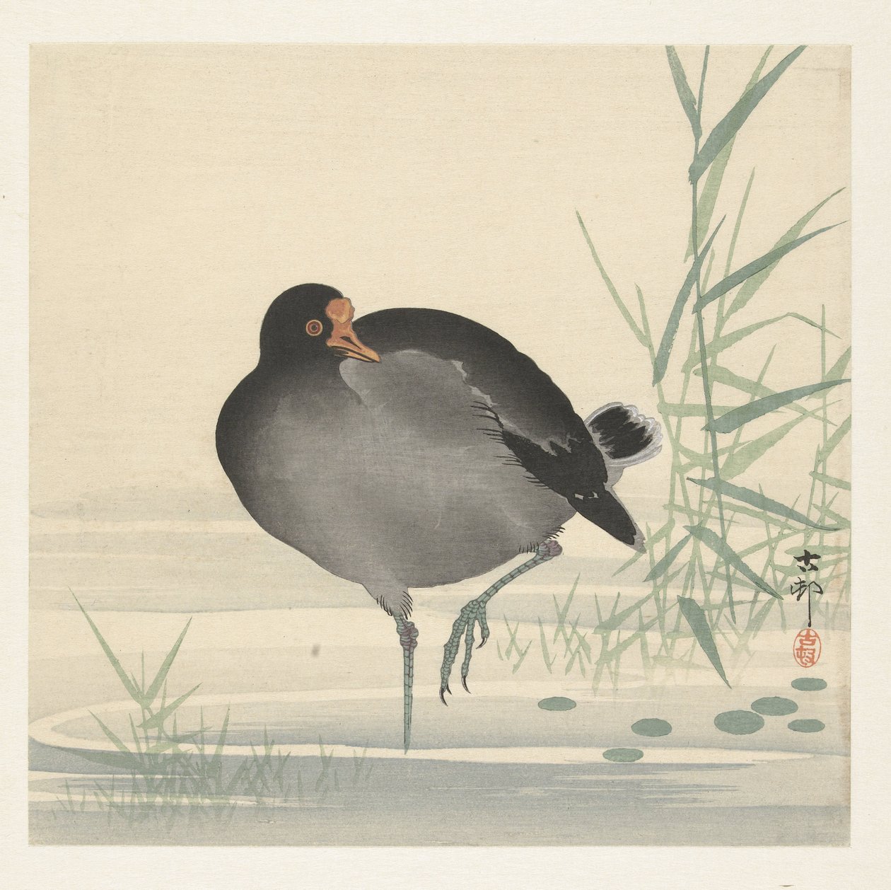 Waterhoen autorstwa Ohara Koson