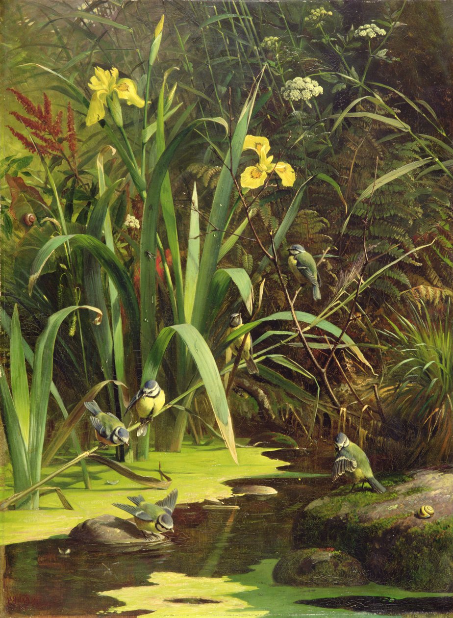 Czas na kąpiel, 1884 autorstwa Olaf August Hermansen