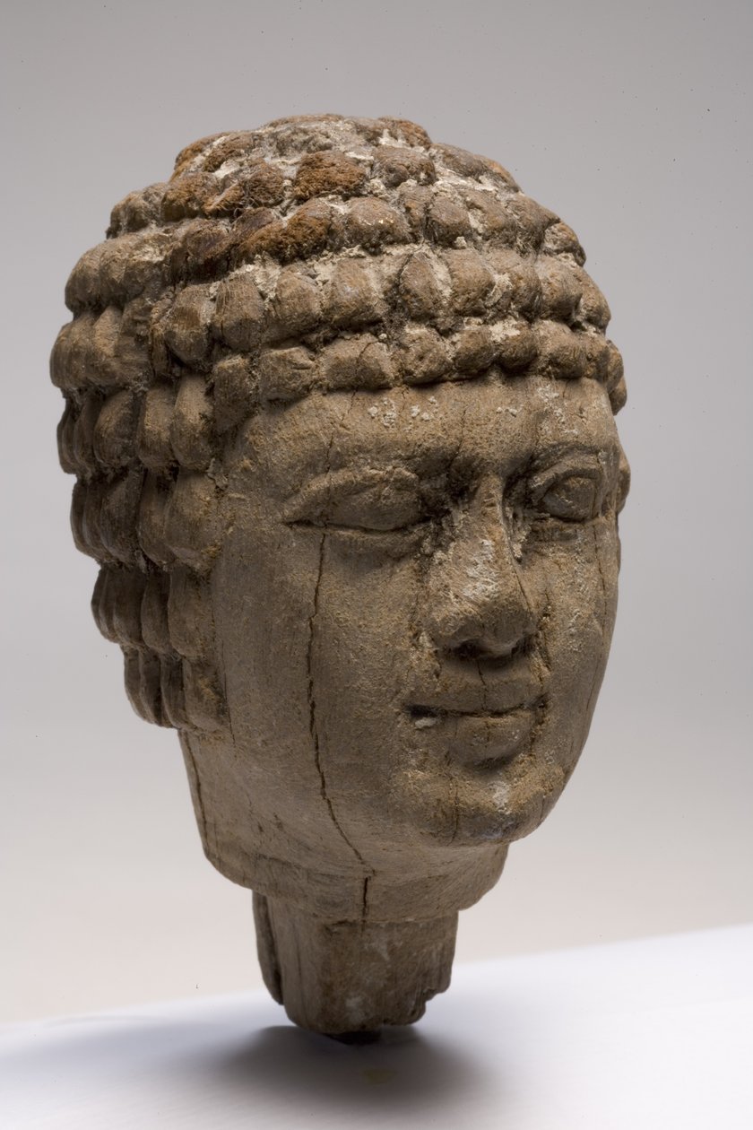 Głowa mężczyzny (drewno) (patrz też 249003-5) autorstwa Old Kingdom Egyptian