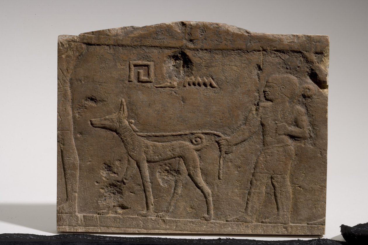 Płaskorzeźba przedstawiająca krasnoluda i psa myśliwskiego o imieniu Heban, IV-V dynastia, 2573-2311 pne (wapień) autorstwa Old Kingdom Egyptian