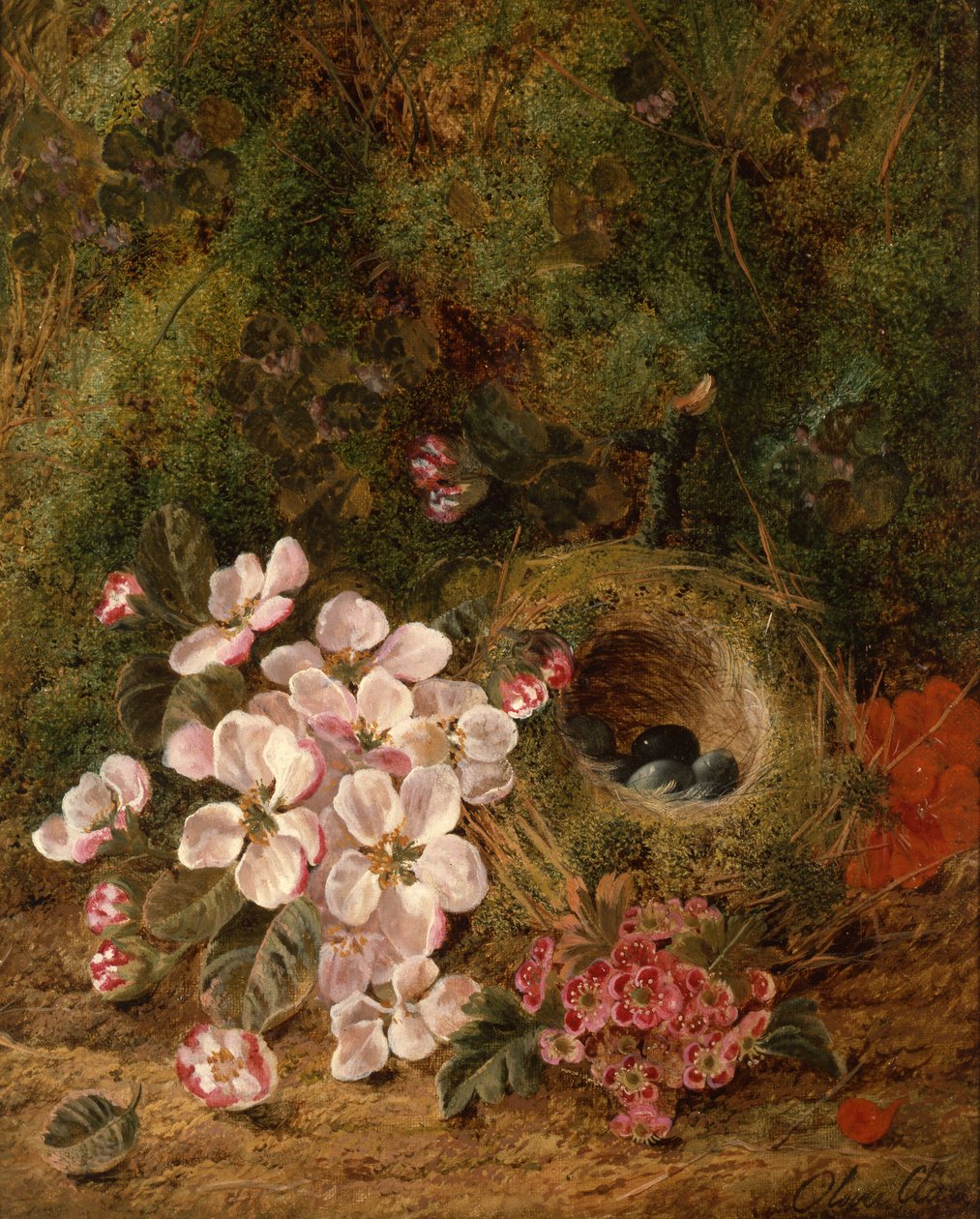Ptasie gniazdo autorstwa Oliver Clare