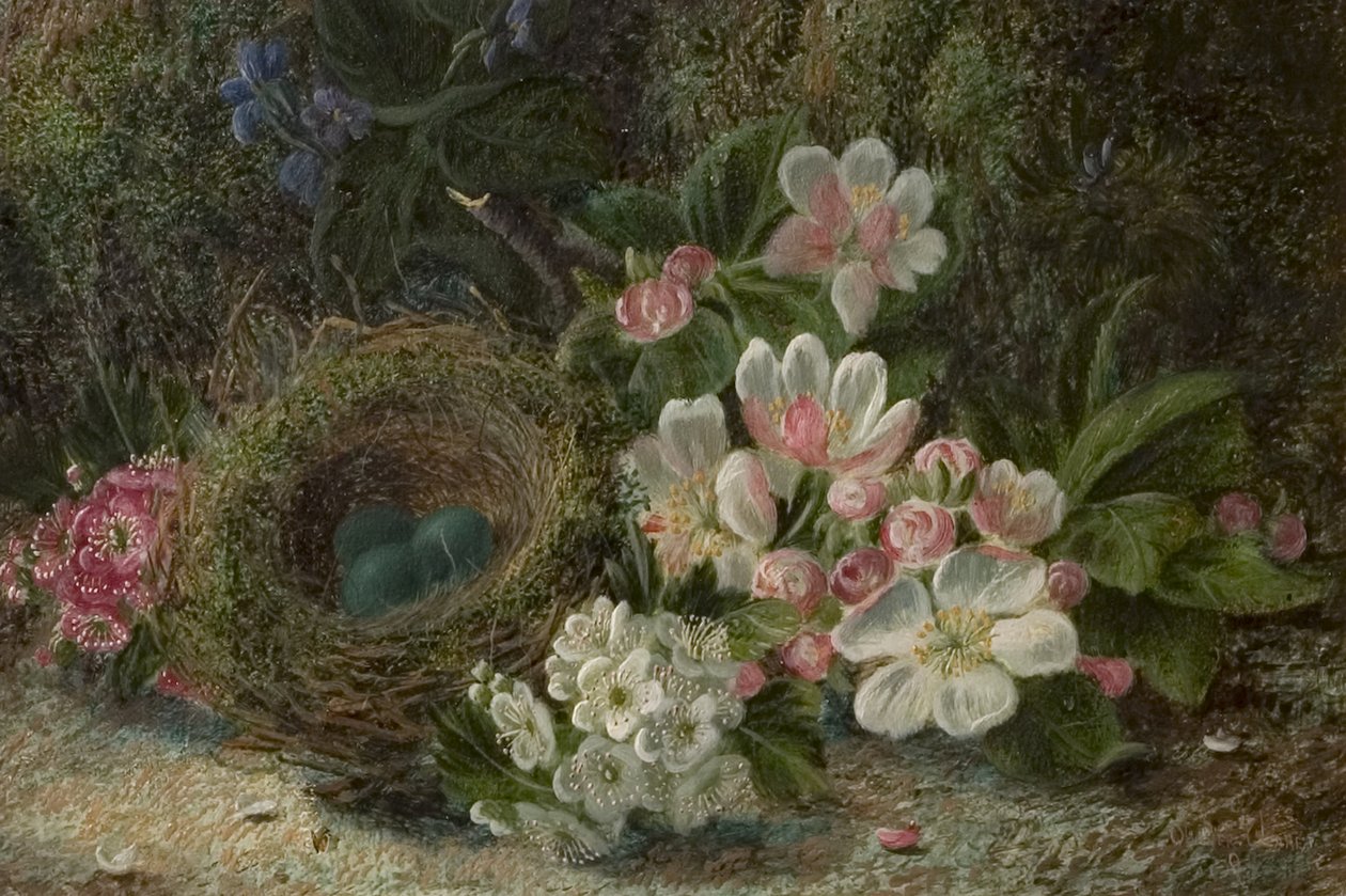 Ptasie gniazdo z kwiatem jabłoni i głogu, 1893 autorstwa Oliver Clare