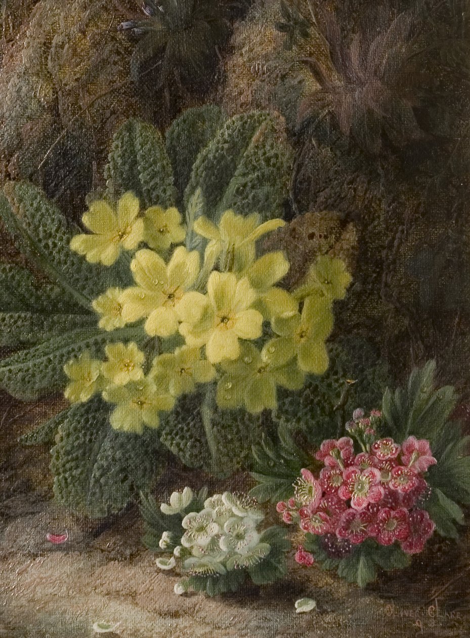 Pierwiosnki, 1893 autorstwa Oliver Clare