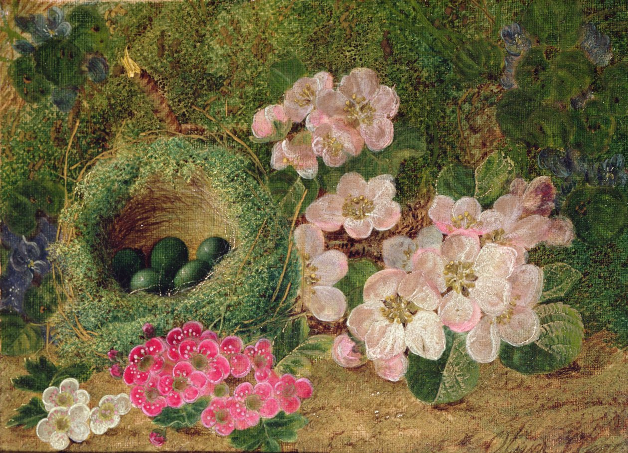 Pierwiosnki przy ptasim gnieździe autorstwa Oliver Clare