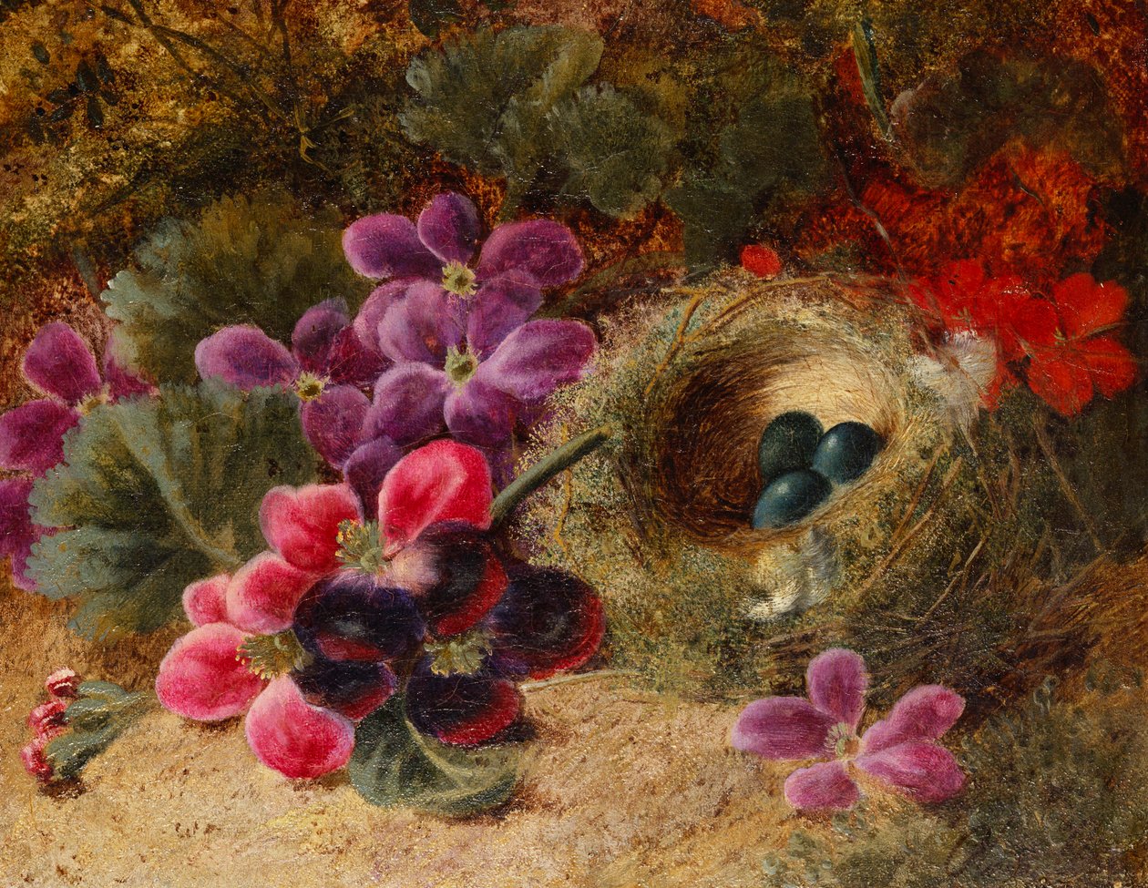 Ptasie gniazdo i pelargonie autorstwa Oliver Clare