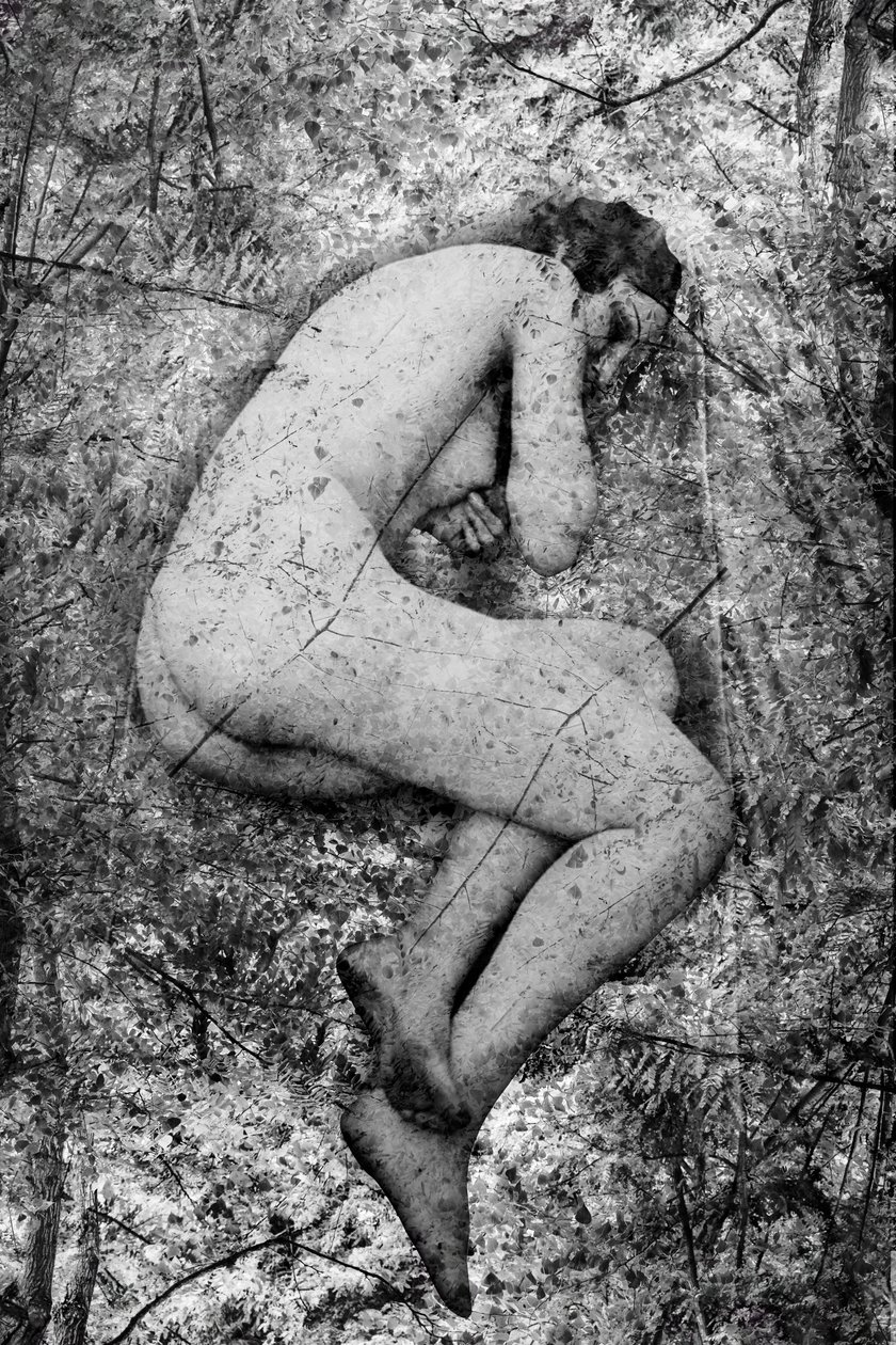 Seme, 2024 (cyfrowa technika mieszana) autorstwa Olivia Gozzano