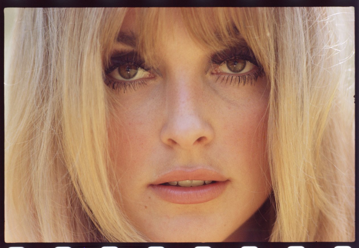 Sharon Tate autorstwa Orlando Suero