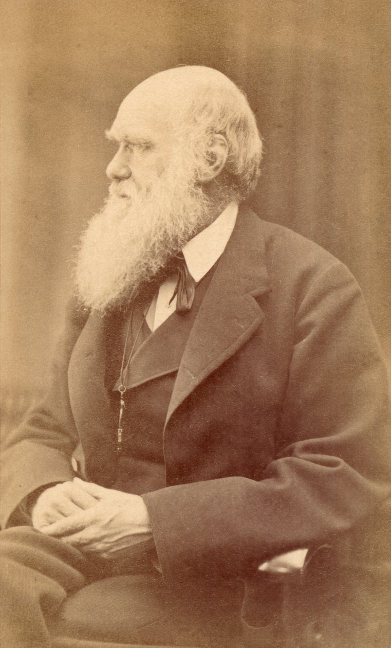 Portret Karola Darwina w wieku 72 lat, c.1871 (odbitka albumowa) autorstwa Oscar Gustav Rejlander