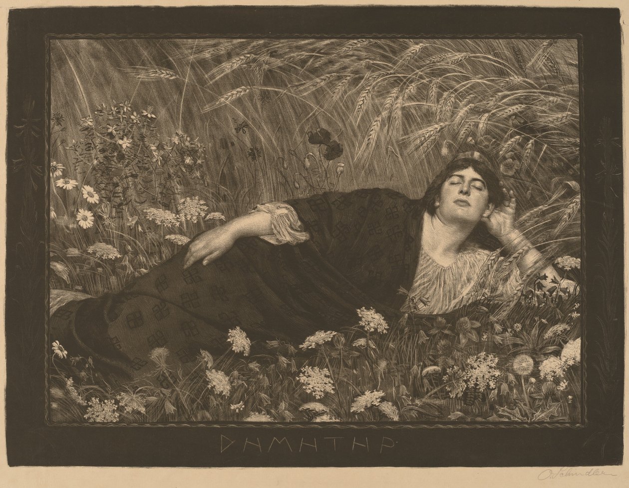 Dhamhatpi (Demeta) autorstwa Osmar Schindler