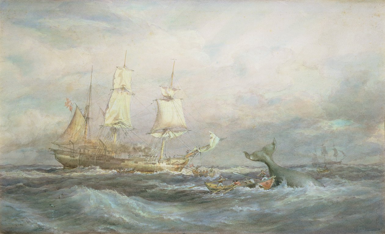 Colonial Whaler "Fame autorstwa Oswald Walters Brierly