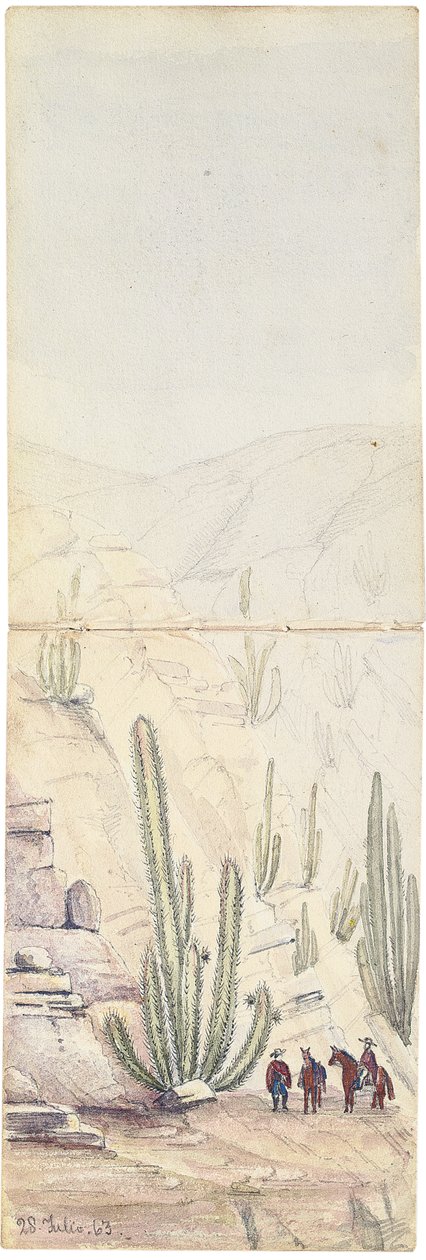 Kaktusy w głębokim „Quebradzie”, 1863 autorstwa Oswald Younghusband