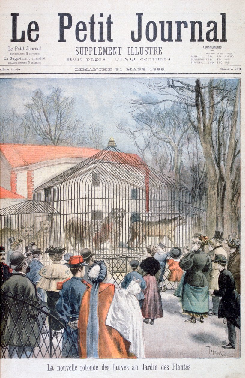 Nowy dom żbika w Jardin des Plantes, Paryż, 1895 autorstwa Oswaldo Tofani