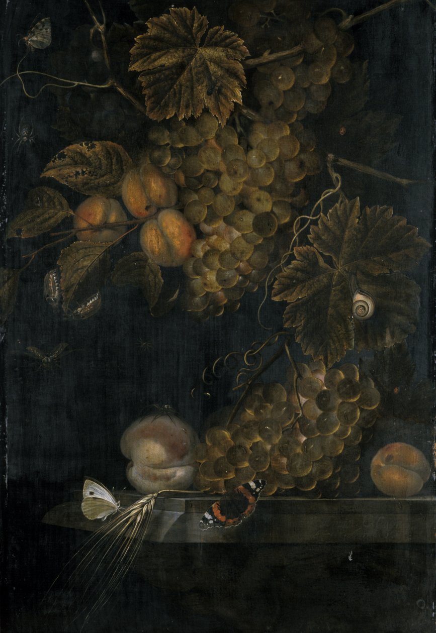 Martwa natura z brzoskwiniami i winogronami, 1665 autorstwa Ottmar the Elder Elliger