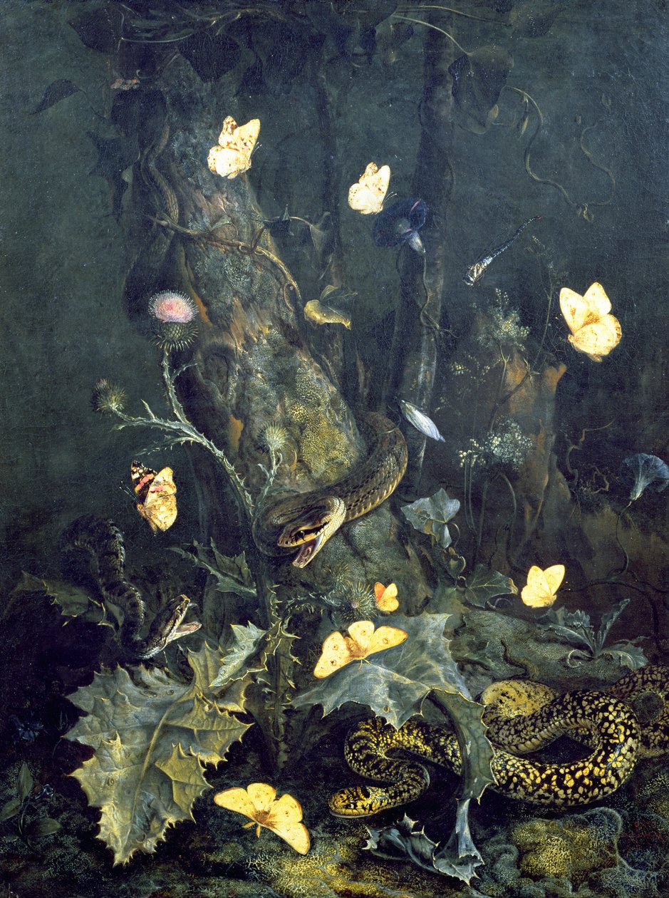Węże i motyle, 1670 autorstwa Otto Marseus  van Schrieck