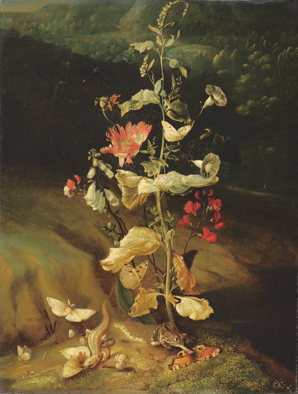 Martwa natura z kwiatami autorstwa Otto Marseus  van Schrieck