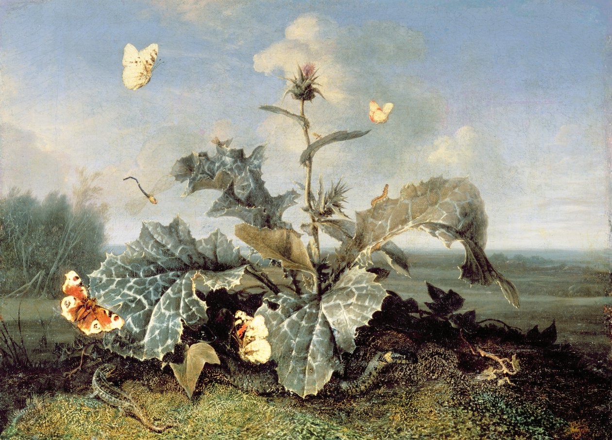Krzak łopianu autorstwa Otto Marseus  van Schrieck