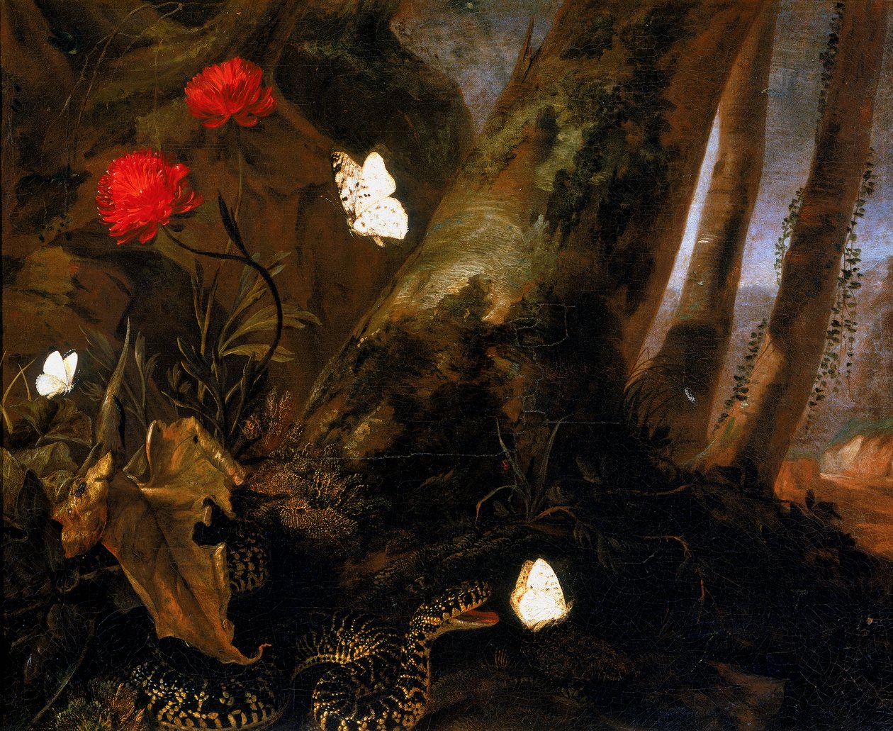 Zarośla ze zwierzętami autorstwa Otto Marseus  van Schrieck