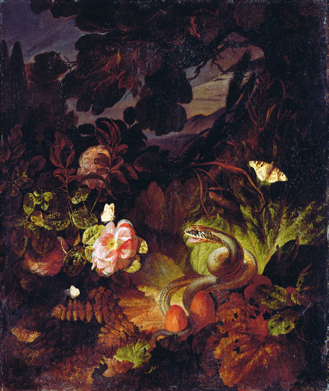 Kwiaty, wąż i motyle autorstwa Otto Marseus  van Schrieck