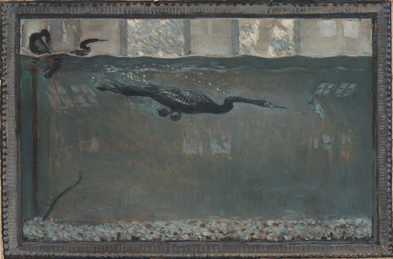 Nurkowy kormoran, 1900. autorstwa Otto H. Bacher