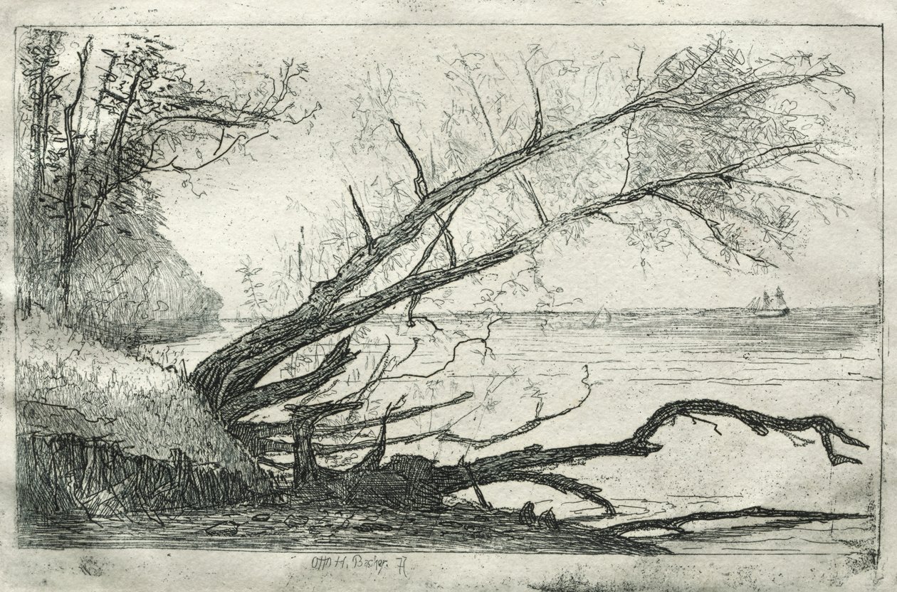 Stary Jawor, 1877. autorstwa Otto H. Bacher