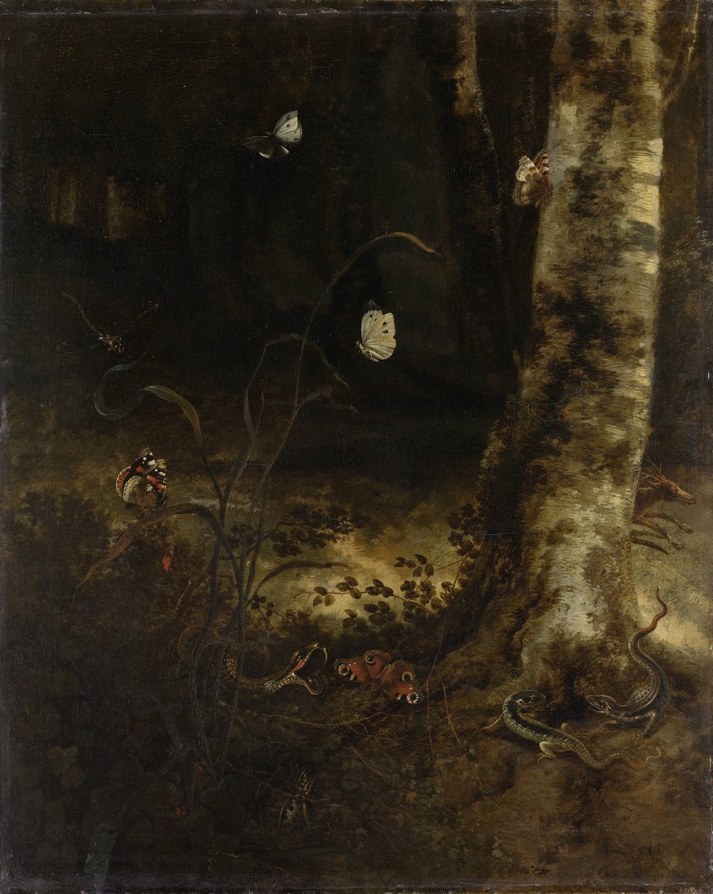 Dno lasu z wężem, jaszczurkami, motylami i innymi owadami autorstwa Otto Marseus  van Schrieck