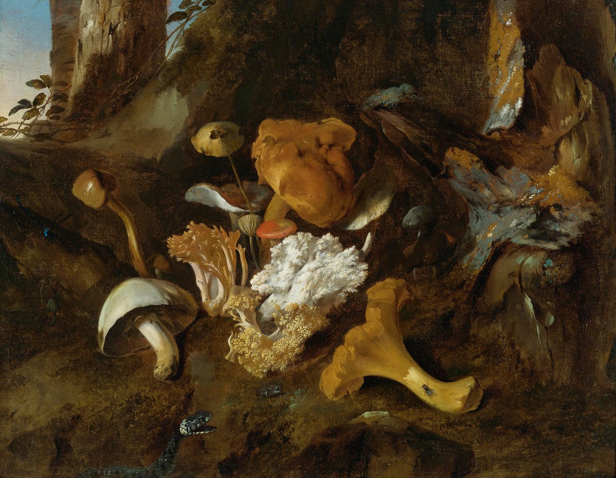 Martwa natura dna lasu z grzybami, motylami i wężem autorstwa Otto Marseus  van Schrieck