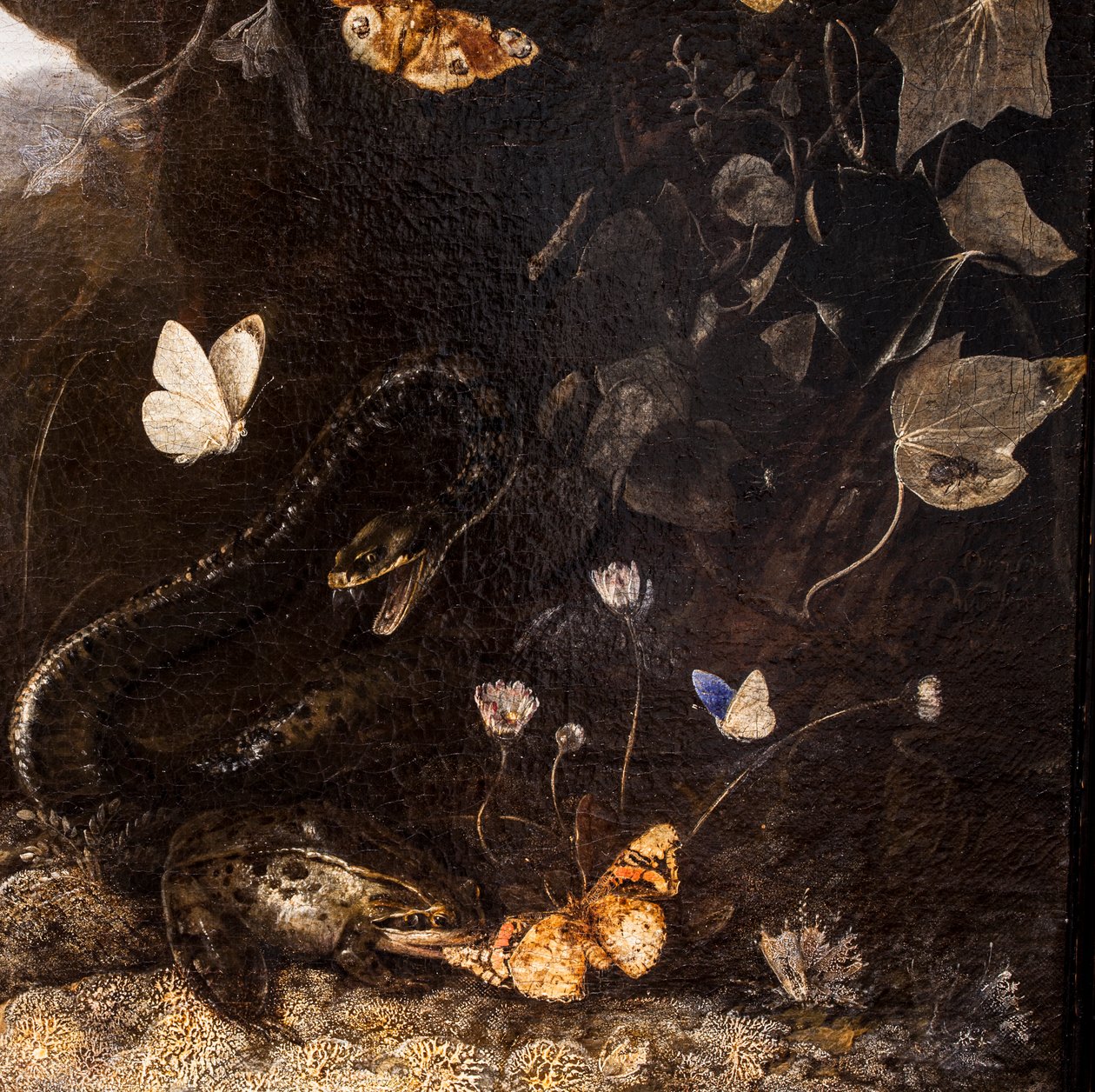 Węże, ropuchy i motyle autorstwa Otto Marseus van Schrieck