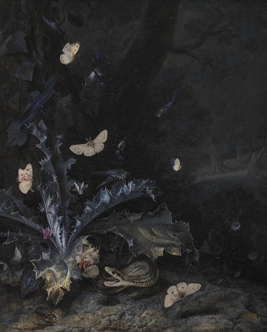 Martwa natura z osetem i wężem autorstwa Otto Marseus  van Schrieck