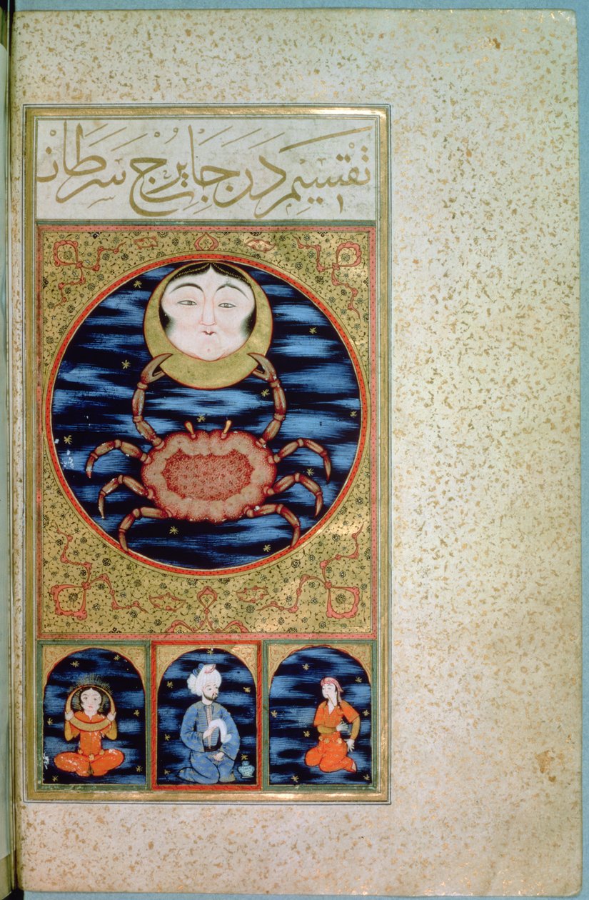 SUW.TURA 242 f.14v Rak autorstwa Ottoman School