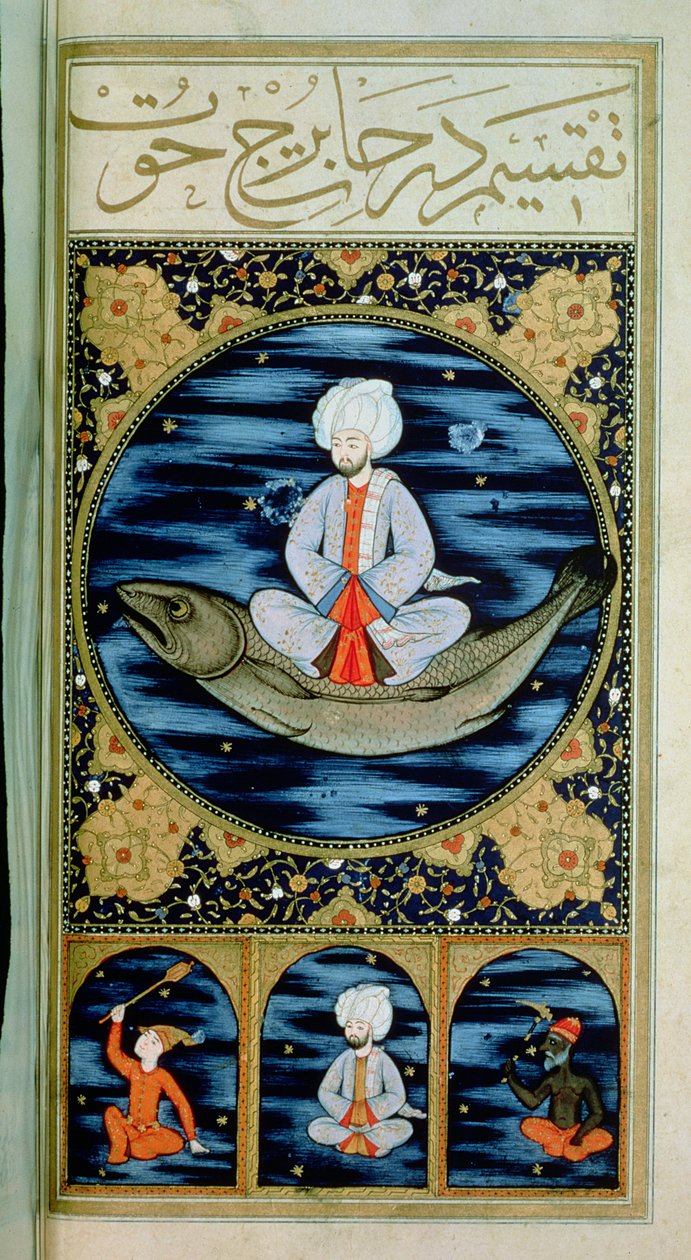 PODSTAWA 242 f.30v Ryby autorstwa Ottoman School