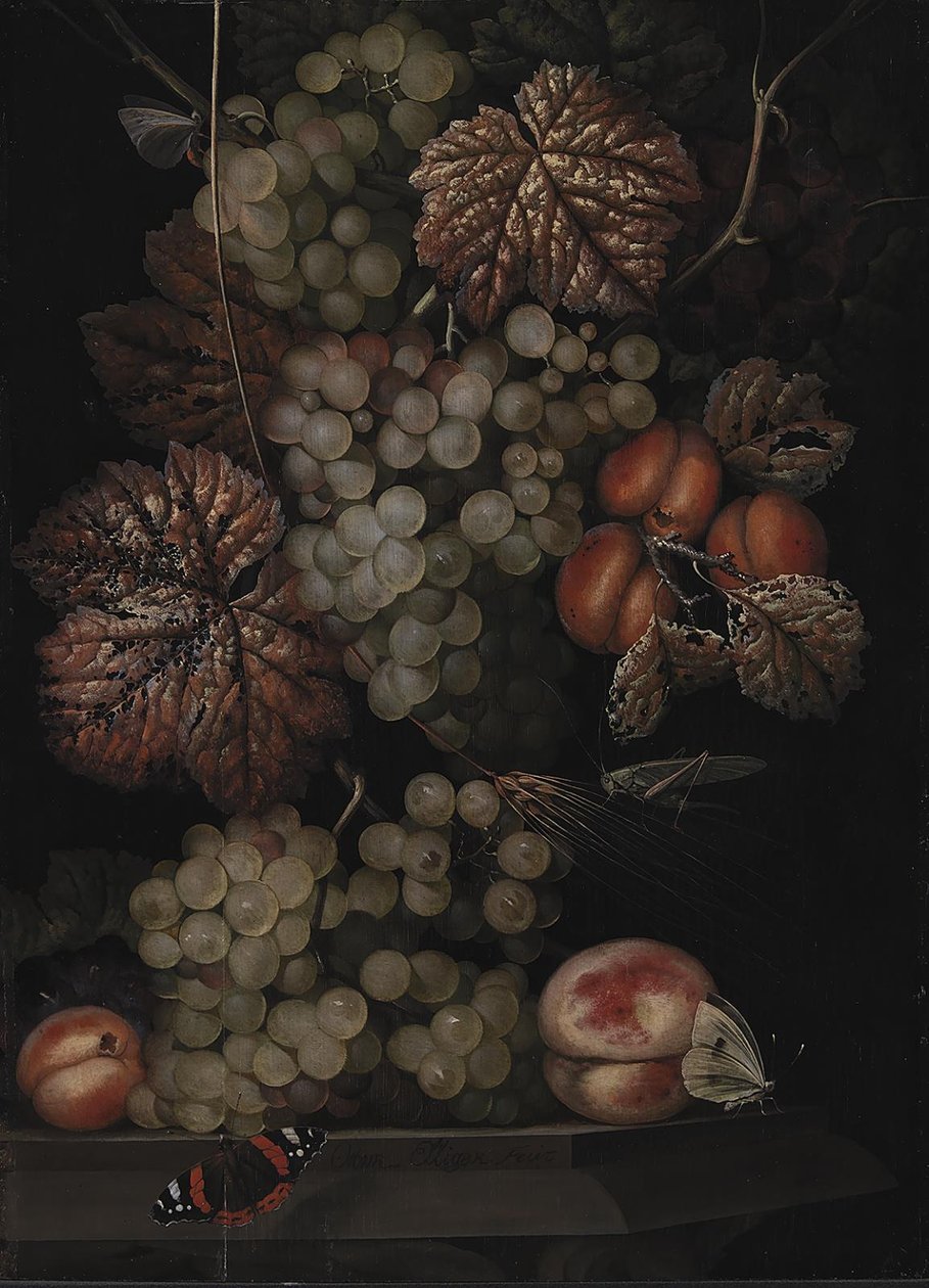 Martwa natura autorstwa Ottomar Elliger d.Æ.
