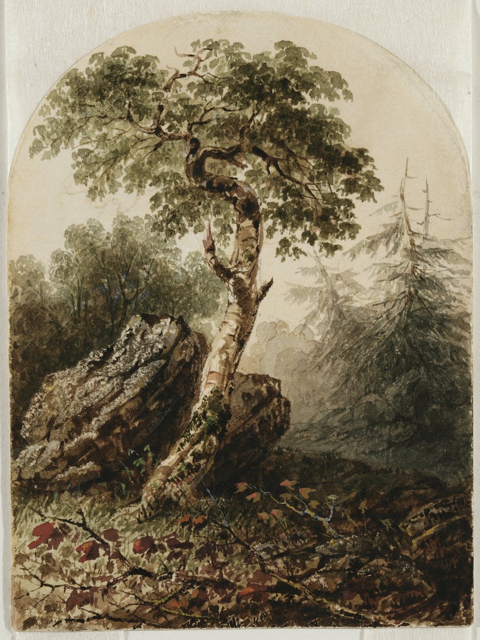 Pejzaż z brzozą, 1859 (wc ze śladami ołówka i być może akcentami gwaszu na kremowym papierze) autorstwa Owen G. Hanks